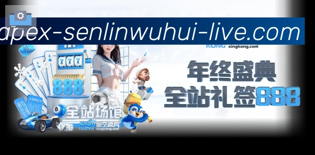 奖项证书